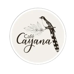 logo2 logo2